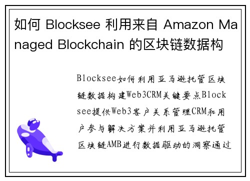 如何 Blocksee 利用来自 Amazon Managed Blockchain 的区块链数据构